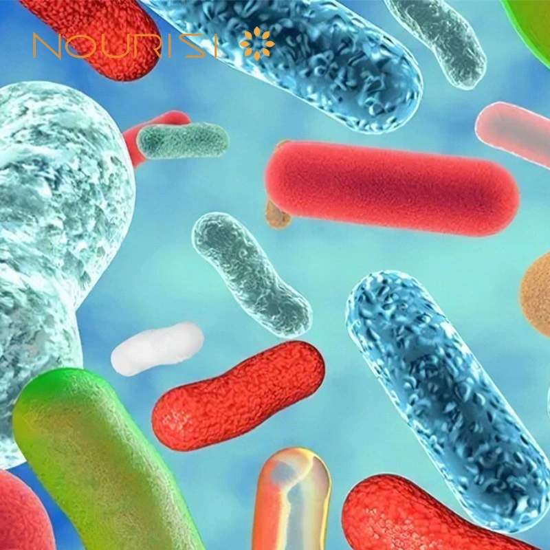 What are brain gut axis and mental probiotics?