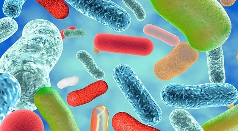 What are brain gut axis and mental probiotics?