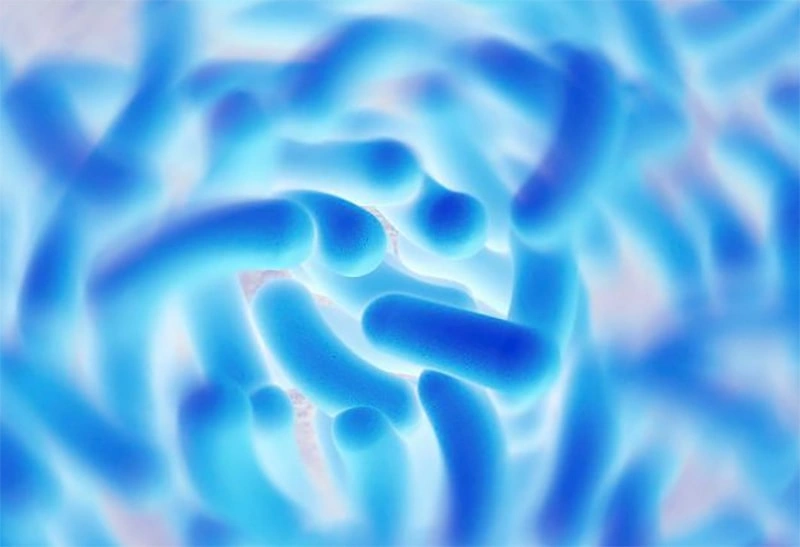 What are brain gut axis and mental probiotics?