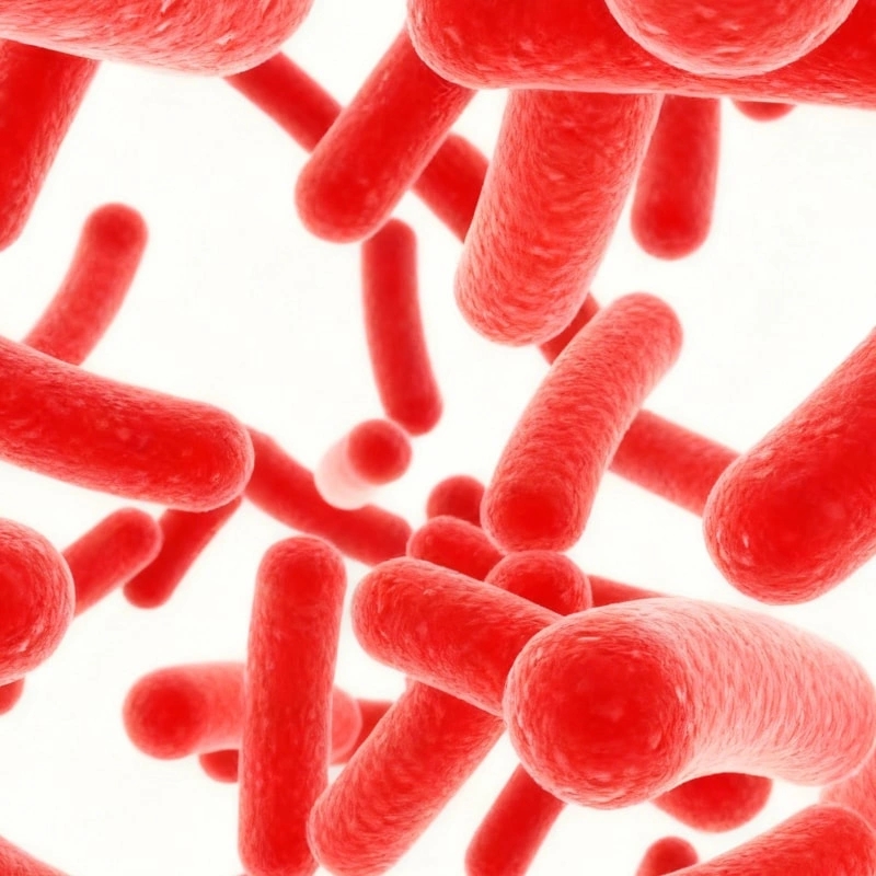 Work News|"Probiotics for Pet Food" Group Standard Writing Seminar Held Successfully