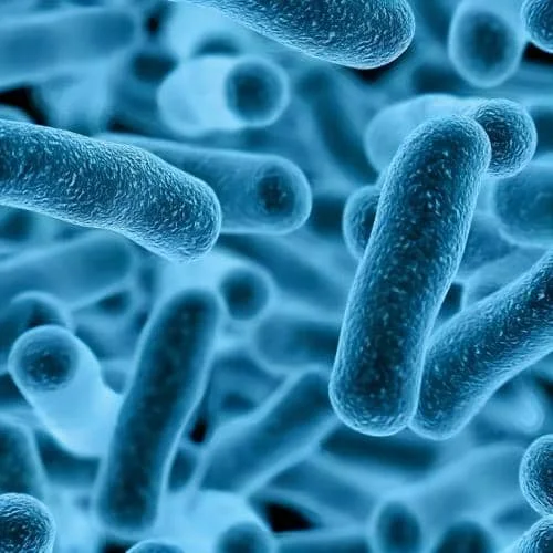 Probiotic New Patent Awarded to Zhongke Jiayi - Bifidobacterium bifidum JYBB-163 for Improving Male Semen Quality and Fertility