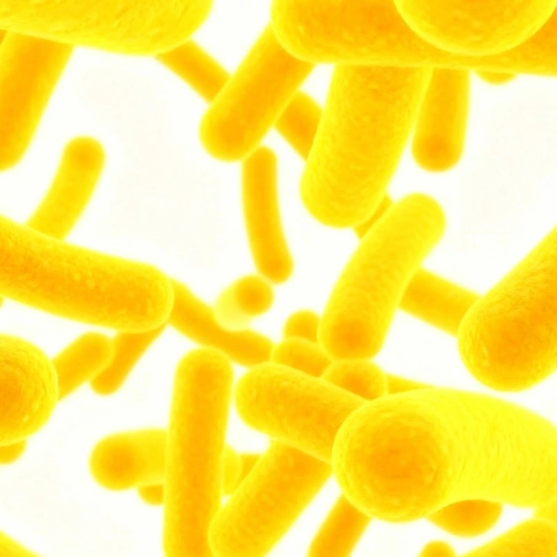 Sports Probiotics: ISSN Position Statement Highlights Performance Benefits